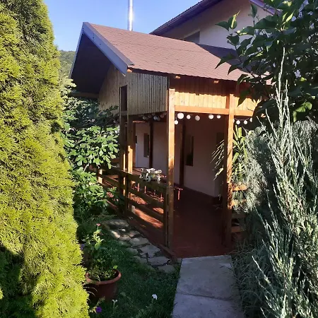Casa La Munte - Zona Rucar *