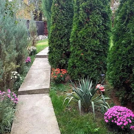 Casa La Munte - Zona Rucar Guest house