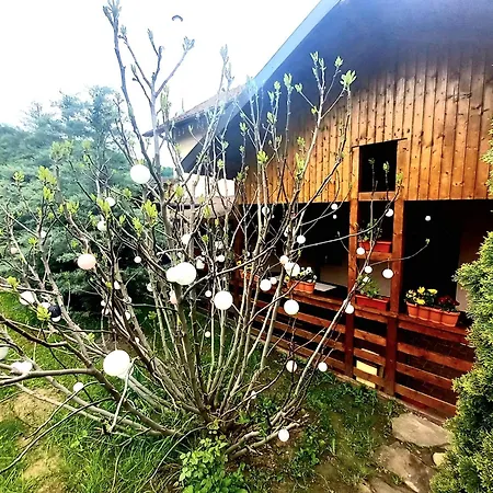Casa La Munte - Zona Rucar Guest house